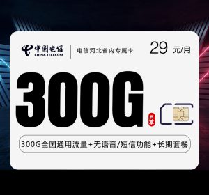 河北電信專享卡29元300G全國(guó)通用流量-赫茲號(hào)卡網(wǎng)